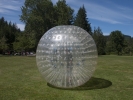 Giant Ball in Meadow