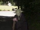 Yoda at Summer Camp